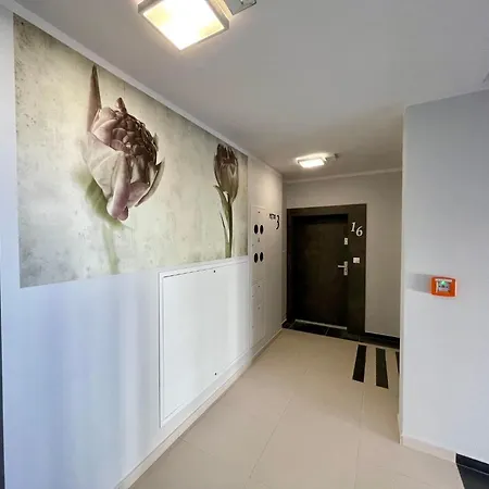 Vintage Exclusive Series Apartament
